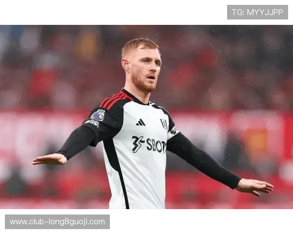 富勒姆足球俱乐部的辉煌历史与未来展望解析